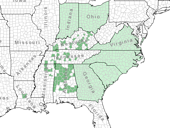The range of Silphium latifolium